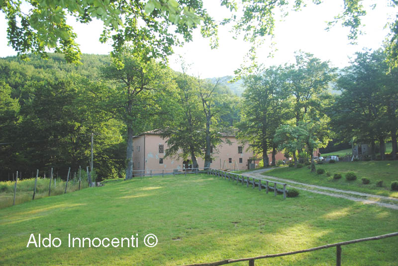 CASCINA DI SPEDALETTO: CASCINA 2' IMMAGINE